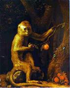 George Stubbs Green Monkey painting